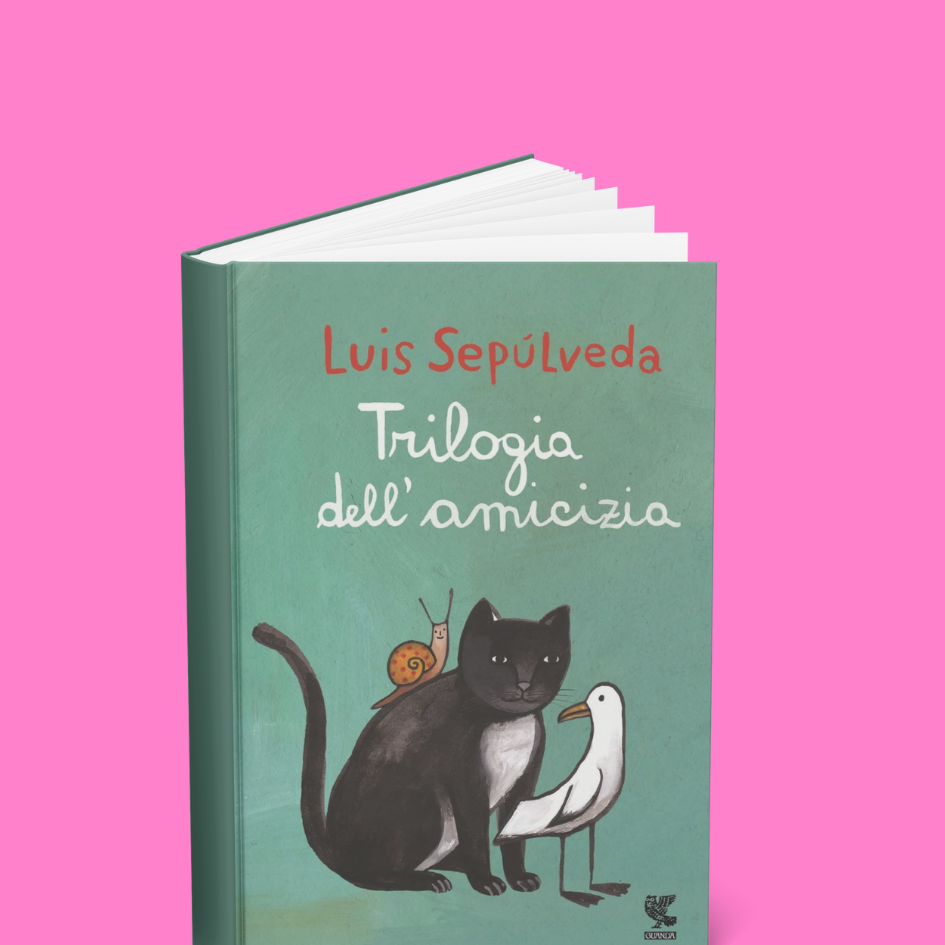 Copertina del libro La saga dell'amicizia